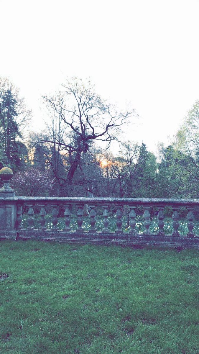 TEDxRHUL's tweet photo. This week Bree shares her change in environment whilst also showing how this has kept her motivated throughout exam season 🎓

🌳🌿 Nature is in both of these environments, reminding us how important fresh air is for our mental health.

#environments #change https://t.co/iM90lMmSrE