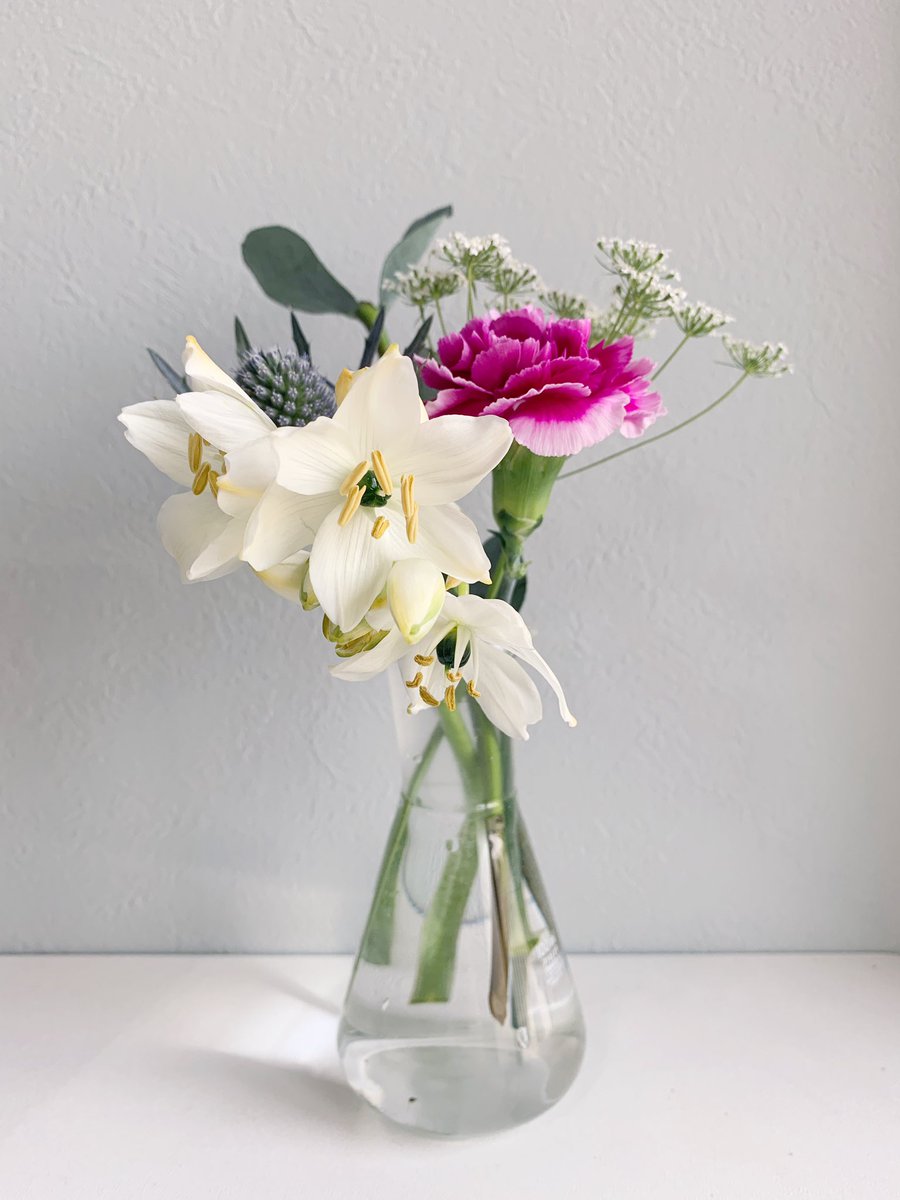 Yuko على تويتر お花の定期便使ってみた 一緒にかわいい花瓶も買えるけど おうちにある三角フラスコがお気に入りなのよね Flower かわいいお花がポストに届く 2週間に1度の定期便 T Co Waaqn9roen Flower Is お花のある暮らしはじめました T