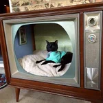 レトロ感が良い!古いテレビを再利用したら、猫ちゃんハウスになった。