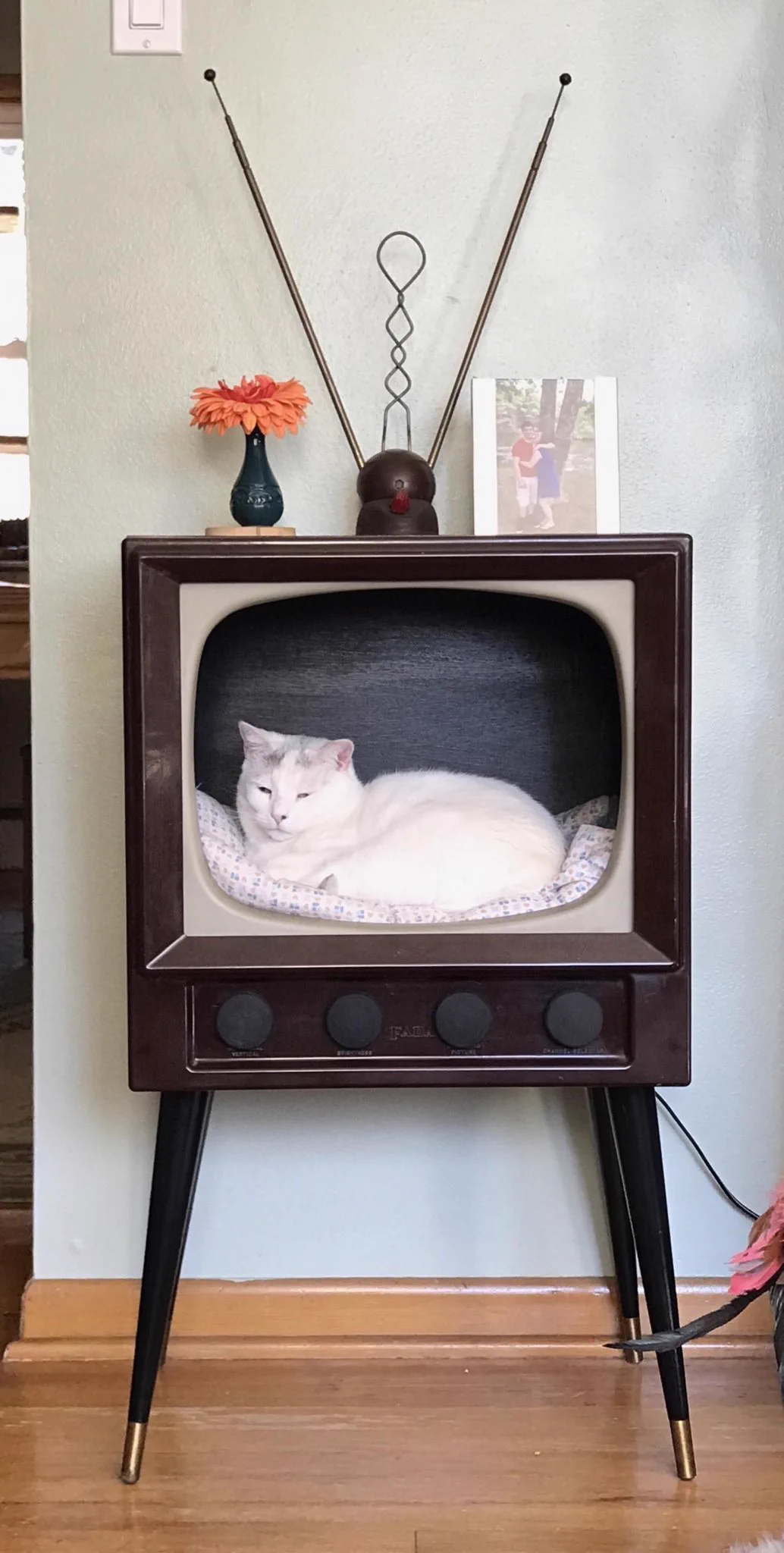 レトロ感が良い！古いテレビを再利用したら、猫ちゃんハウスになった。