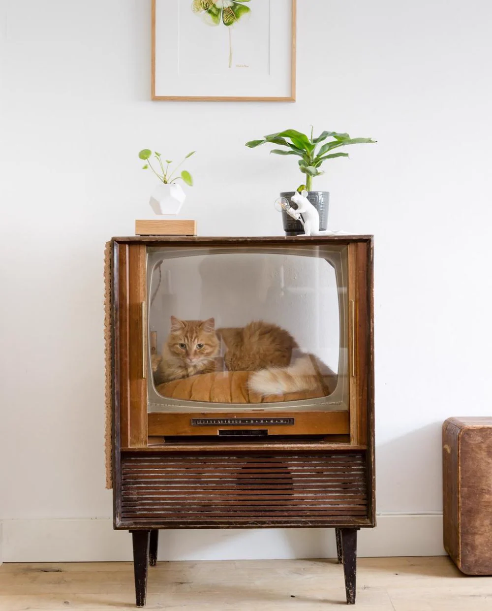 レトロ感が良い！古いテレビを再利用したら、猫ちゃんハウスになった。