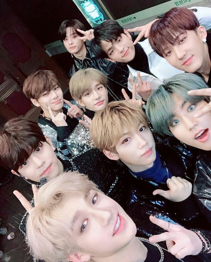 a thread of skz as the worst possible names you could give a cat:
