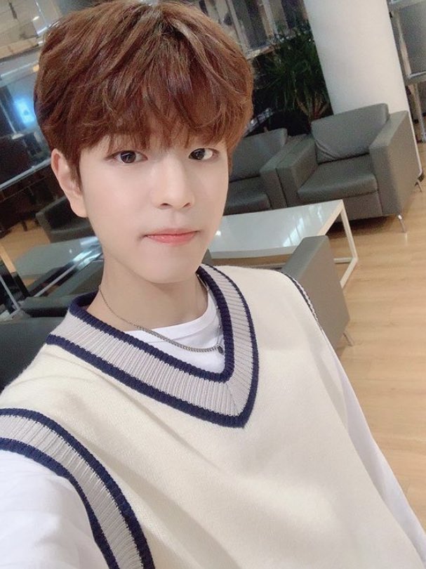 seungmin as fluffenheimersheim:- definitely watched the little einsteins- that one cat from barbie as the princess and the pauper who barks- that isnt meowing its singing