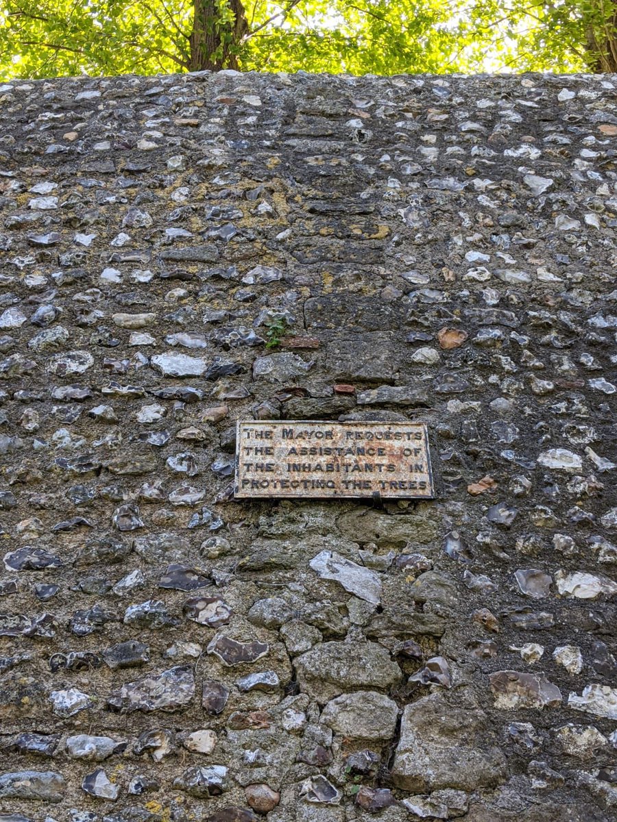 JamesJfarb's tweet photo. Historic sign on the Roman city walls of Noviomagus Reginorum (Chichester) Tree Protection has been around some time. https://t.co/YG8omQYExd