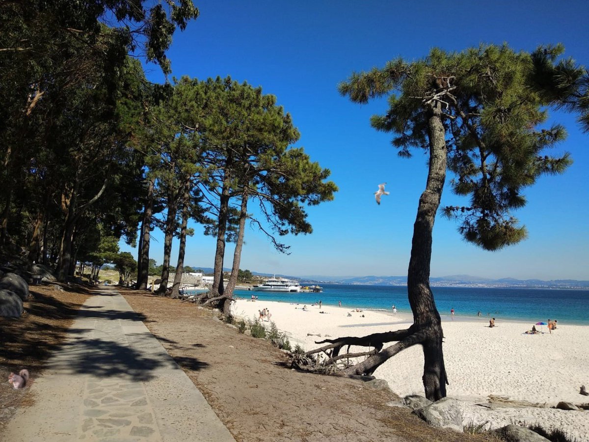 MardeOns's tweet photo. ¡Hoy os queremos proponer un #reto! 🧐¿Quién es capaz de encontrar las #7diferencias entre estas dos fotos de la preciosa #playaderodas s, en las #IslasCíes? ¡Alguna es muy fácil! Pero otra… ¡está para poner a prueba a los más observadores 😉! https://t.co/xBluShpzc4