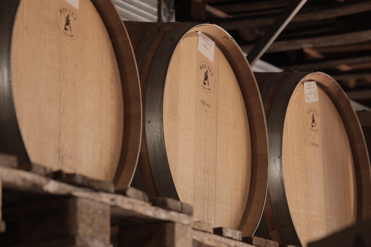 itawinepodcast's tweet photo. If you ever get the chance, visit Paternopoli and Nativ Azienda Vinicola for some tranquility and great wine. 

🎧 Listen to #italianwinepodcast episode 306: https://t.co/ccNYEZfya8

#italy #wine #podcast #italianwine #OperaWine @steviekim222 https://t.co/tvlnijDjpL
