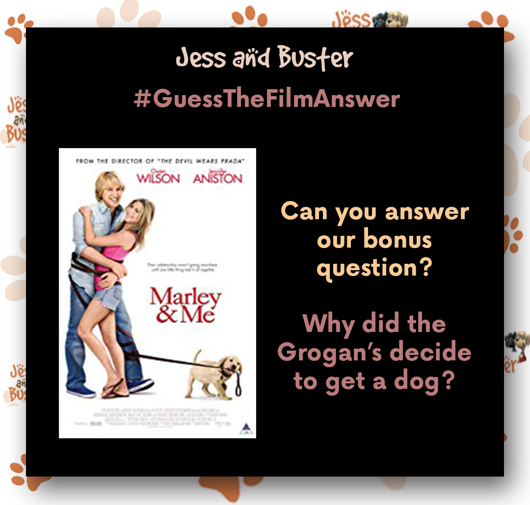 BusterJess's tweet image. Congratulations if you correctly guessed the answer to our #guessthefilm! The answer was 'Marley &amp;amp; Me'. 📽️🎞️

Can you guess the answer to our BONUS QUESTION? 

#guessthefilm #game #film #quiz #fun #MarleyandMe #DogLover