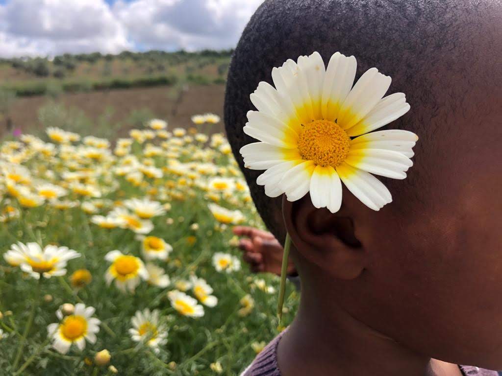 La #Primavera llegó a el Centro de Acogida Humanitaria Ödos. Si quieres saber más: redodos.org
#ProtecciónInfancia #Menores #Migración #DDHH