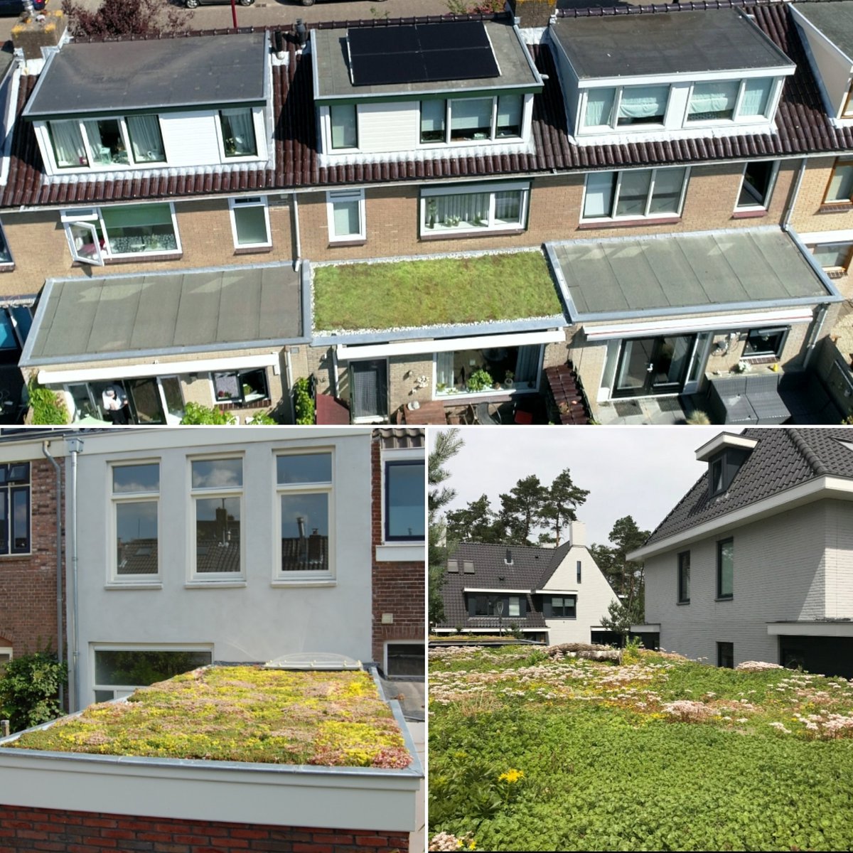 Wil je een dak aanleggen dat is begroeid met planten en ander mooi groen? Dan kun je subsidie krijgen van de gemeente. Je kunt maximaal 50% van jouw groen dak gesubsidieerd krijgen, tot max. €1500,-. Goed voor milieu, klimaat en waterafvoer, dat scheelt! nieuwegein.nl/groendaken