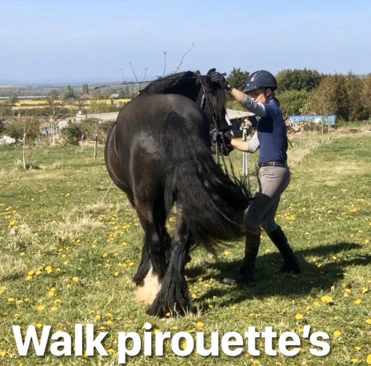 sam16255506's tweet image. Check out my website; samturnerdressage.uk 
🐴Today is a walk pirouette. 
Just take a moment to appreciate what effort the horse has to put into this movement. The balance and need for flexibility through the muscles is rather special. 
Very proud of little Cedric 😍@aviform
