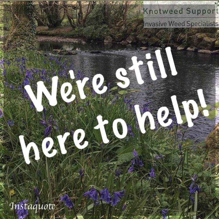 Knotweed_Phil's tweet photo. We hope our clients &amp; followers are safe &amp; well in these strange times.

We have been following Welsh Government advice closely &amp; are still able to offer a range of support &amp; our phone lines are open for advice

#Knotweed #JapaneseKnotweed #remortgage #mortgage #PCA #IBG https://t.co/0RDIOOGI5R