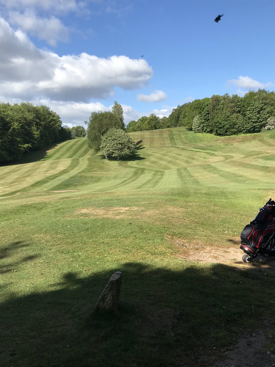 alistairwhitehu's tweet photo. @ParkHeaton 🙌🏌️‍♂️ https://t.co/Wk5TT1NGMv