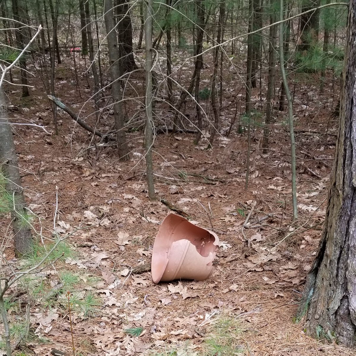 Dumping old plant pots into natural areas is a big no-no! First of all, you will likely introduce invasive species into the forest, and second, those plastic pots will eventually crumble into the environment! This is one of the worst kinds of illegal dumping!
