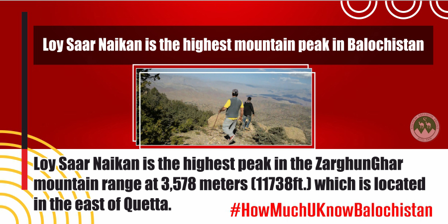 Poll 4 
Loy Saar Naikan is the highest mountain peak in Balochistan
#HowMuchUKnowBalochistan
@odysseuslahori @ThJohnsonNPS @francescam63 @Kathygannon