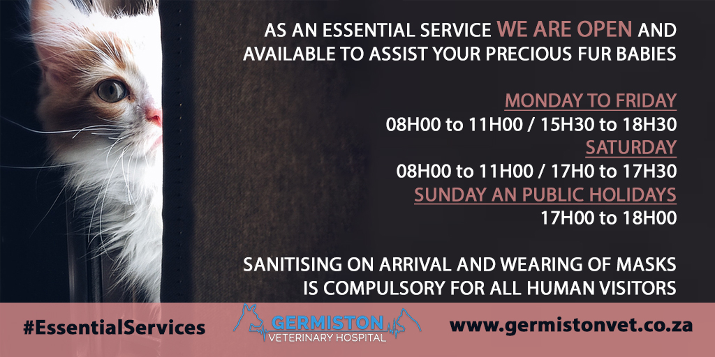 GermistonVet's tweet photo. https://t.co/6nC5GOuXWY