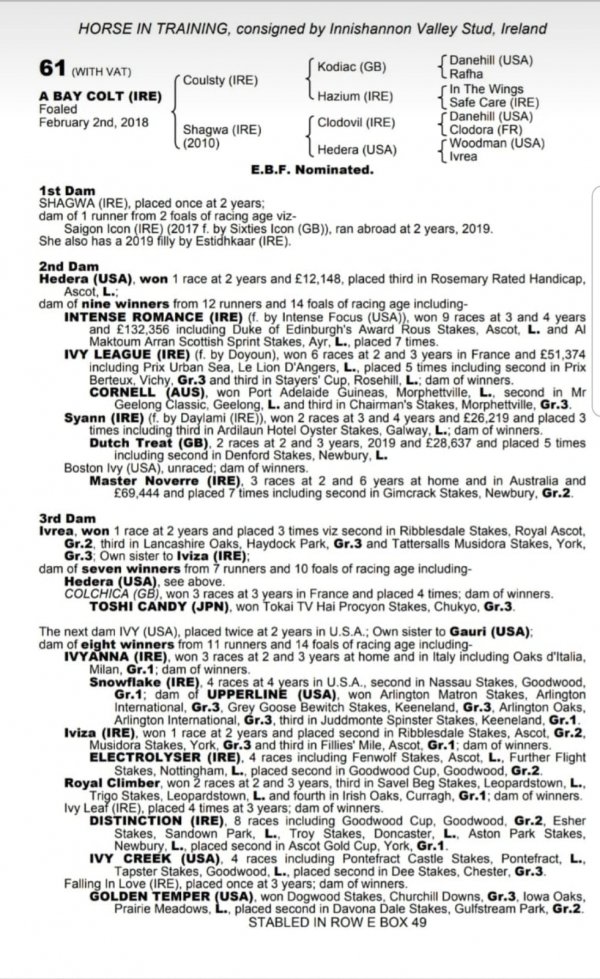 HorseSales.ie (@horsesalesie) on Twitter photo This classy looking colt by <a href="/RathaskerStud/">Rathasker Stud</a> COULSTY is offered from @darragh_24 Innishannon Valley Stud. He will presented @tattsascot Lot:61 view on our #BreezeUpPortal or visit horsesales.ie/all-horses/col… This classy looking colt by <a href="/RathaskerStud/">Rathasker Stud</a> COULSTY is offered from @darragh_24 Innishannon Valley Stud. He will presented @tattsascot Lot:61 view on our #BreezeUpPortal or visit horsesales.ie/all-horses/col…