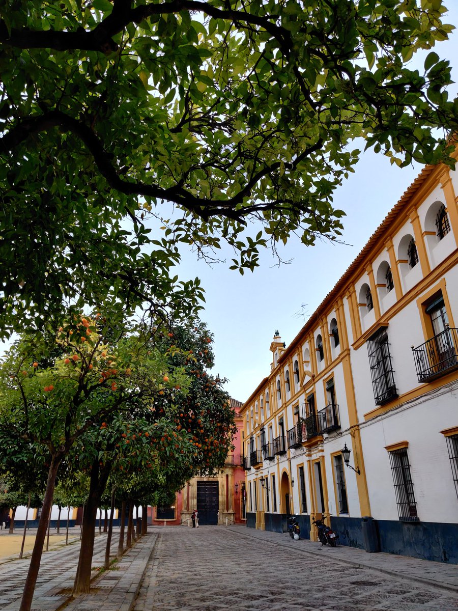 We walk the whole time here, as everything is walking distance. The Sevilla Cathedral, Royal Alcazar, Triana & Calle Santa Cruz.