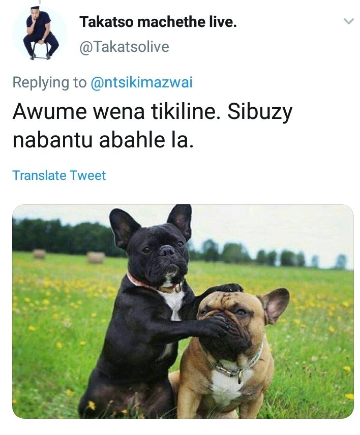 Rexnjandini's tweet photo. @ntsikimazwai Hi sis ntsiki why did he call you a tikilane? Does he know you personally? https://t.co/3zGjb31Wkr