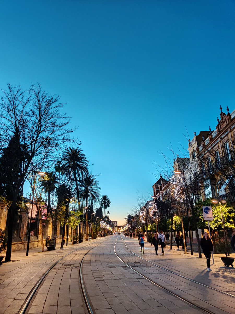 We walk the whole time here, as everything is walking distance. The Sevilla Cathedral, Royal Alcazar, Triana & Calle Santa Cruz.