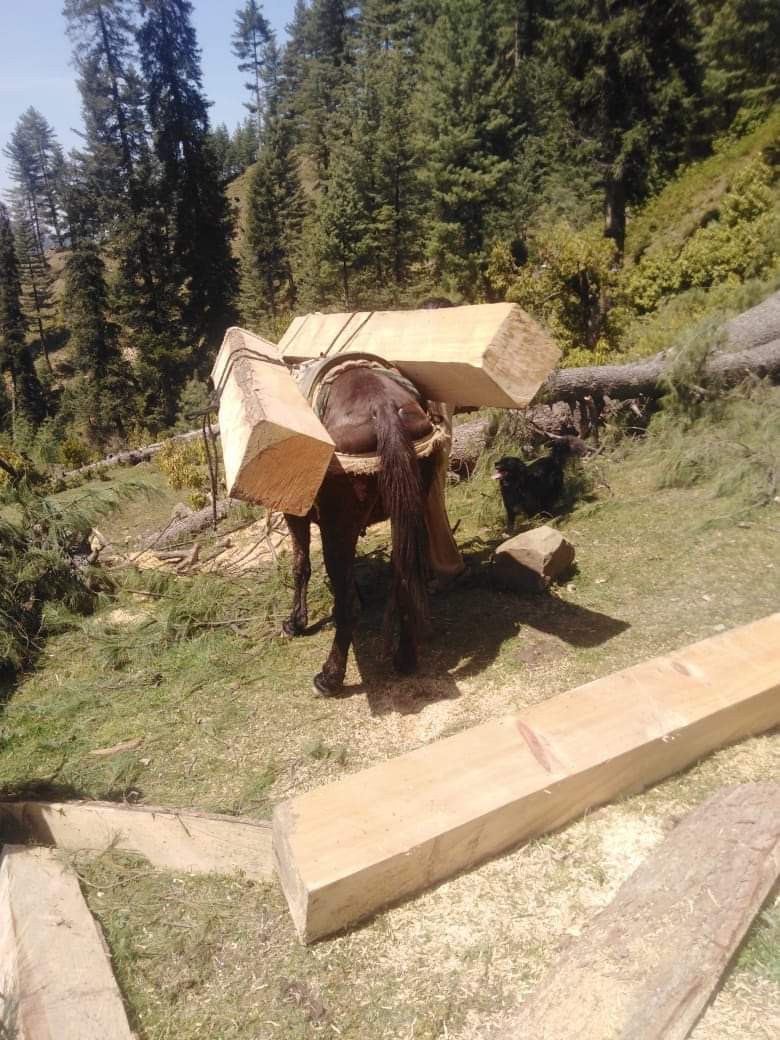 Ishaqsharifhot1's tweet image. #MODIJI_HelpUs plz.