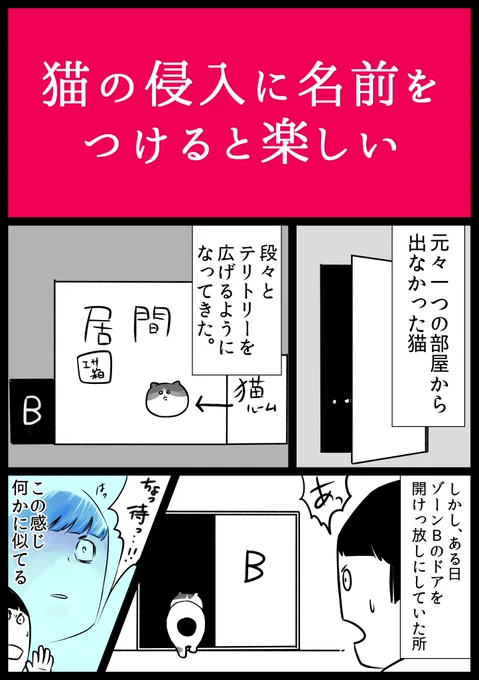 【#食い意地のはった猫 11】うちで生まれた猫だけど、まだ入ったことがない部屋がある。(今は押入れくらいしか未侵入ゾーンはない)#猫漫画 #猫のいる暮らし #実録 #JR漫画 