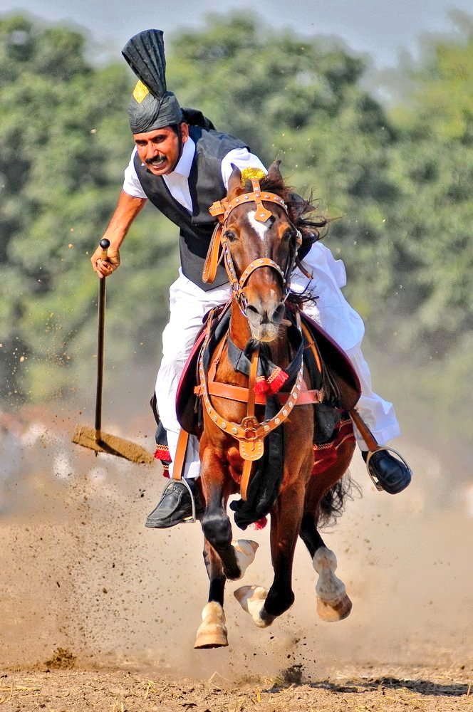 muhammadp1989's tweet photo. Cultures Of #Punjab.

1. Bull Race (#Sargodha)
2. Tent Pegging (#Attock)

#Hourse
#Pakistan #Punjab 
#VisitPakistan #BeautifulPakistan https://t.co/EKl5zIHR8v