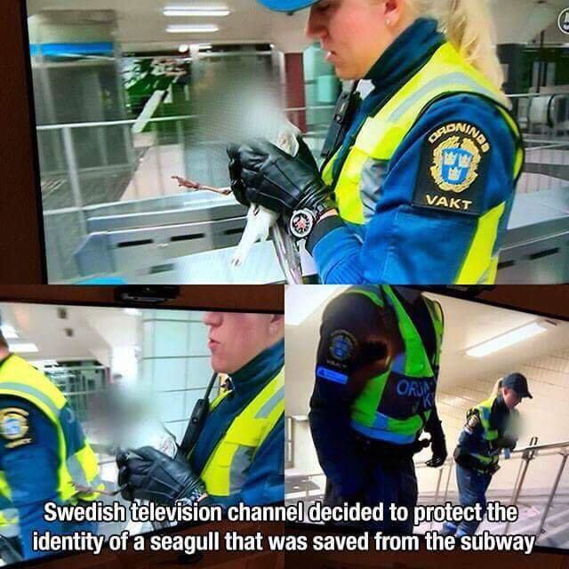 viktigt det där med skyddad identitet