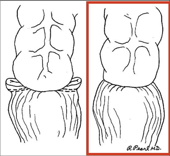 Justin Maykel tweet media