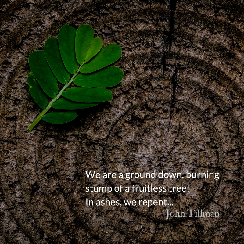 TheParkForum's tweet image. We are a ground down, burning stump of a fruitless tree! In ashes, we repent.
Burning our idols of self-reliance...
#Prayer #GuidedPrayer #PrayScripture #StumpOfJesse #Remnant #Redemption
buff.ly/3fGIGvX