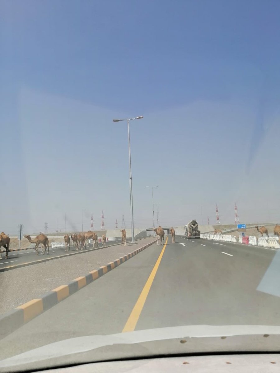 #عمان_تواجه_كرونا كيف ترتيب