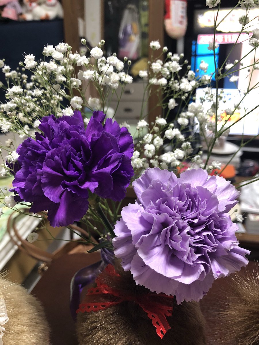 カーラ 母の日の花が余っており買ってきた 紫見てるとガラスの仮面を思い浮かぶな 抹茶ケーキ