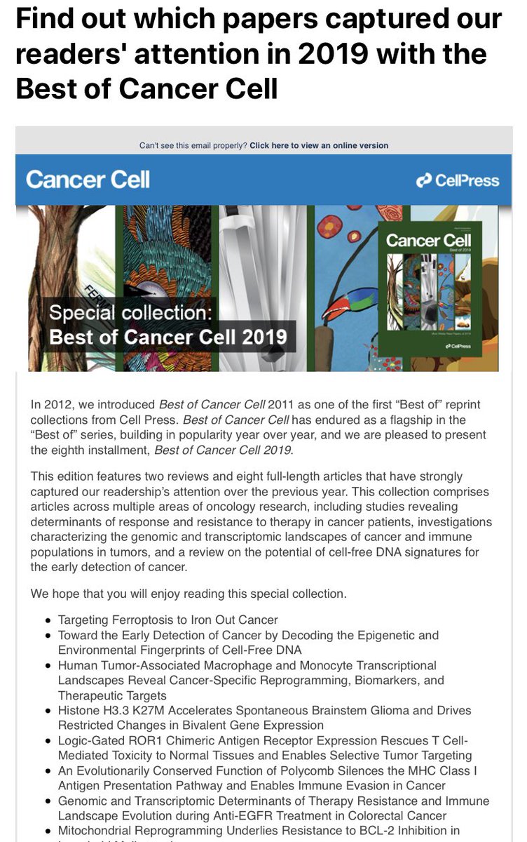 Luca Cassetta tweet media