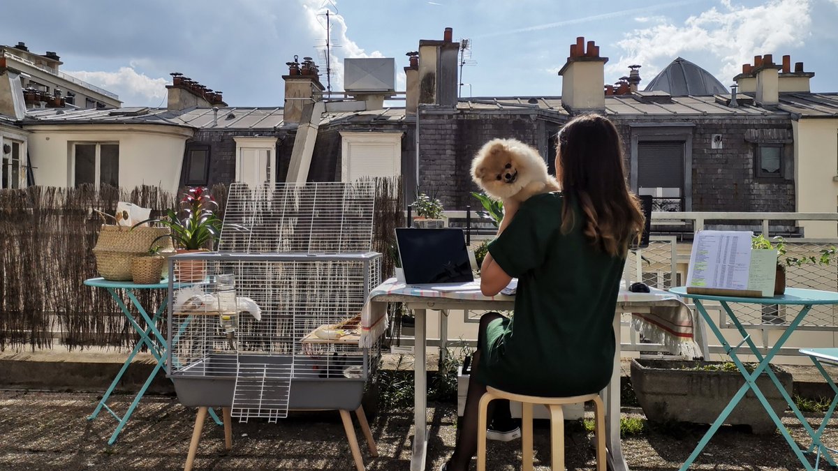 Notre consultante Marisol en télétravail pendant le confinement.

Rooftop ☑️ 
Soleil ☑️ 
Office dog ☑️ 
Un lapin ⁉️