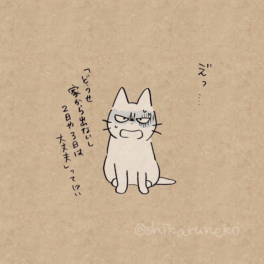 Twitter 上的 しかるねこ お風呂に毎日入らなくなった人を叱ってくれる猫 T Co Slqqzelmjq Twitter