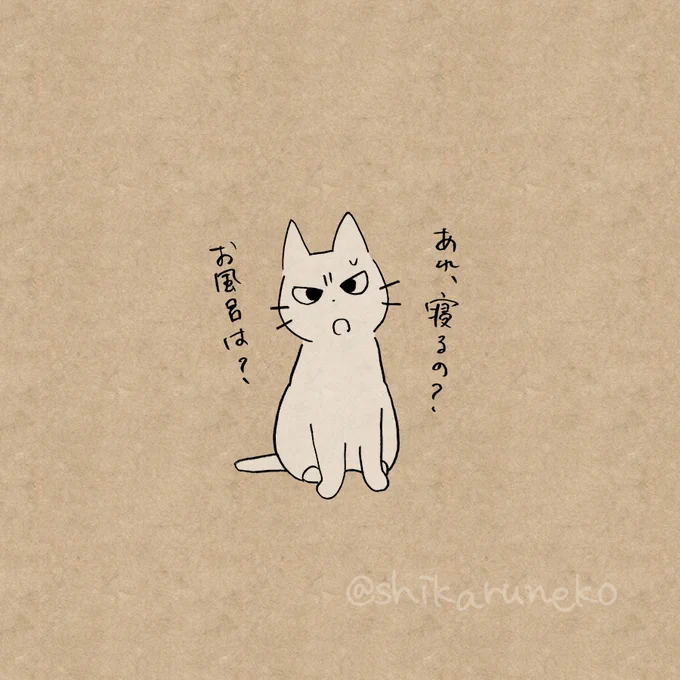 お風呂に毎日入らなくなった人を叱ってくれる猫 