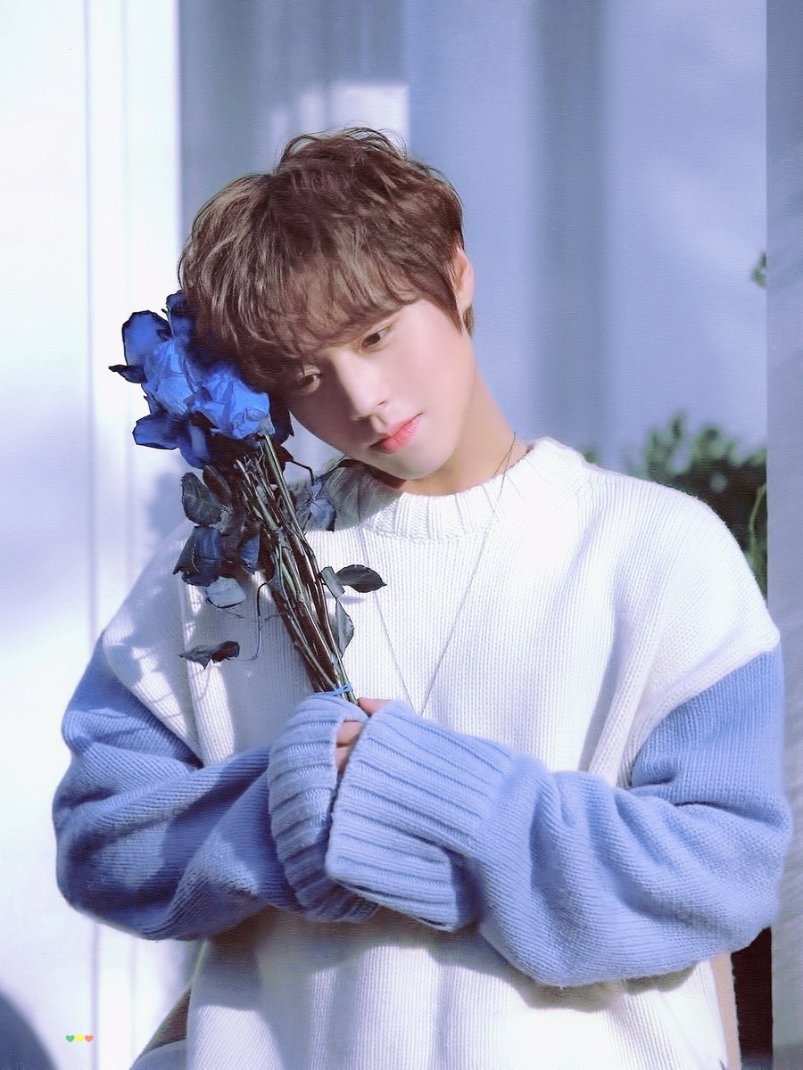 eepp_11's tweet photo. 💙𝑾𝒊𝒕𝒉 𝒃𝒍𝒖𝒆 𝒇𝒍𝒐𝒘𝒆𝒓.💙

#พัคจีฮุน #PARKJIHOON #박지훈 https://t.co/KHI0gOvn2Q