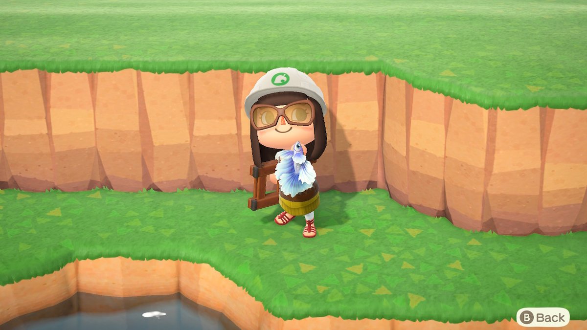 EarthySim's tweet photo. Why give me the tools to build mountains, but not the ability to climb them? #Fish4Thought #AnimalCrossing #ACNH #NintendoSwitch https://t.co/h4JTnK8KzP