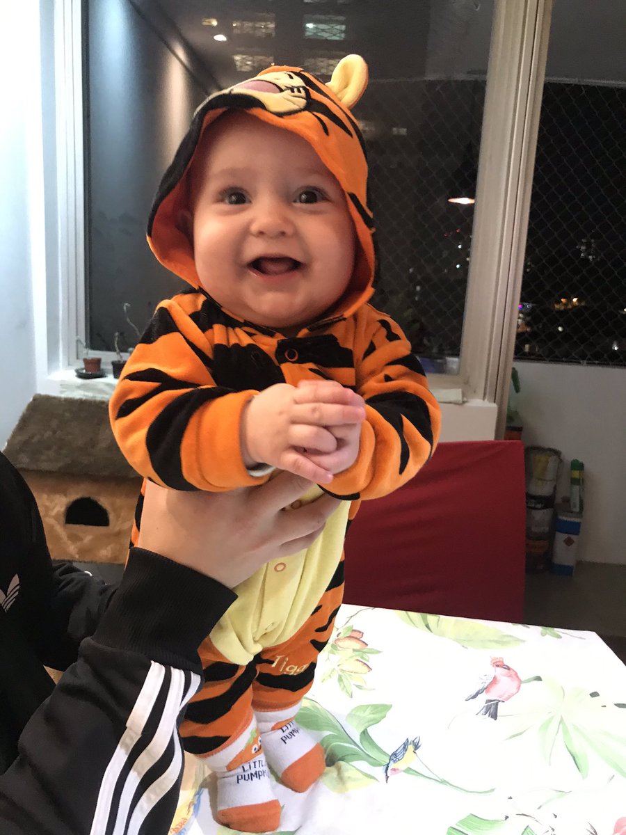 AnnaMariaVET's tweet photo. Tchutchucaaaaa, vem aqui com seu tigrão 🎶🐯 #numguento https://t.co/pS4n0l4Mxb