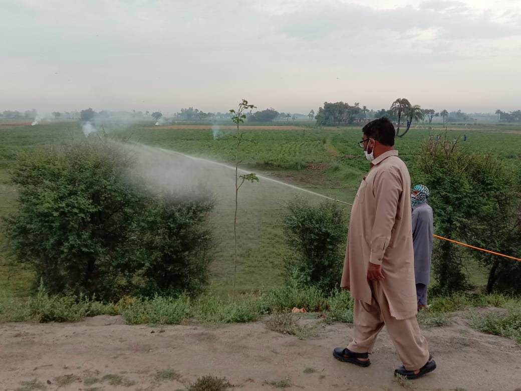 Locust combat Operation in Choubara,  #Layyah District #LocustUpdate  #PunjabLocustUpdate