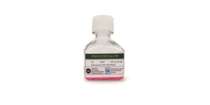 MBLICorp's tweet photo. MBL International's Afamin/Wnt3a CM is a serum free conditioned medium including Wnt3a-Afamin complex for intestinal organoid cell culture. Learn more about Afamin/Wnt3a at: https://t.co/0xJhuuqfFF #Afamin #Wnt3aAfamin #OrganoidCellCulture #Wnt3a #IntestinalOrganoid https://t.co/fQDwvcx3Mu