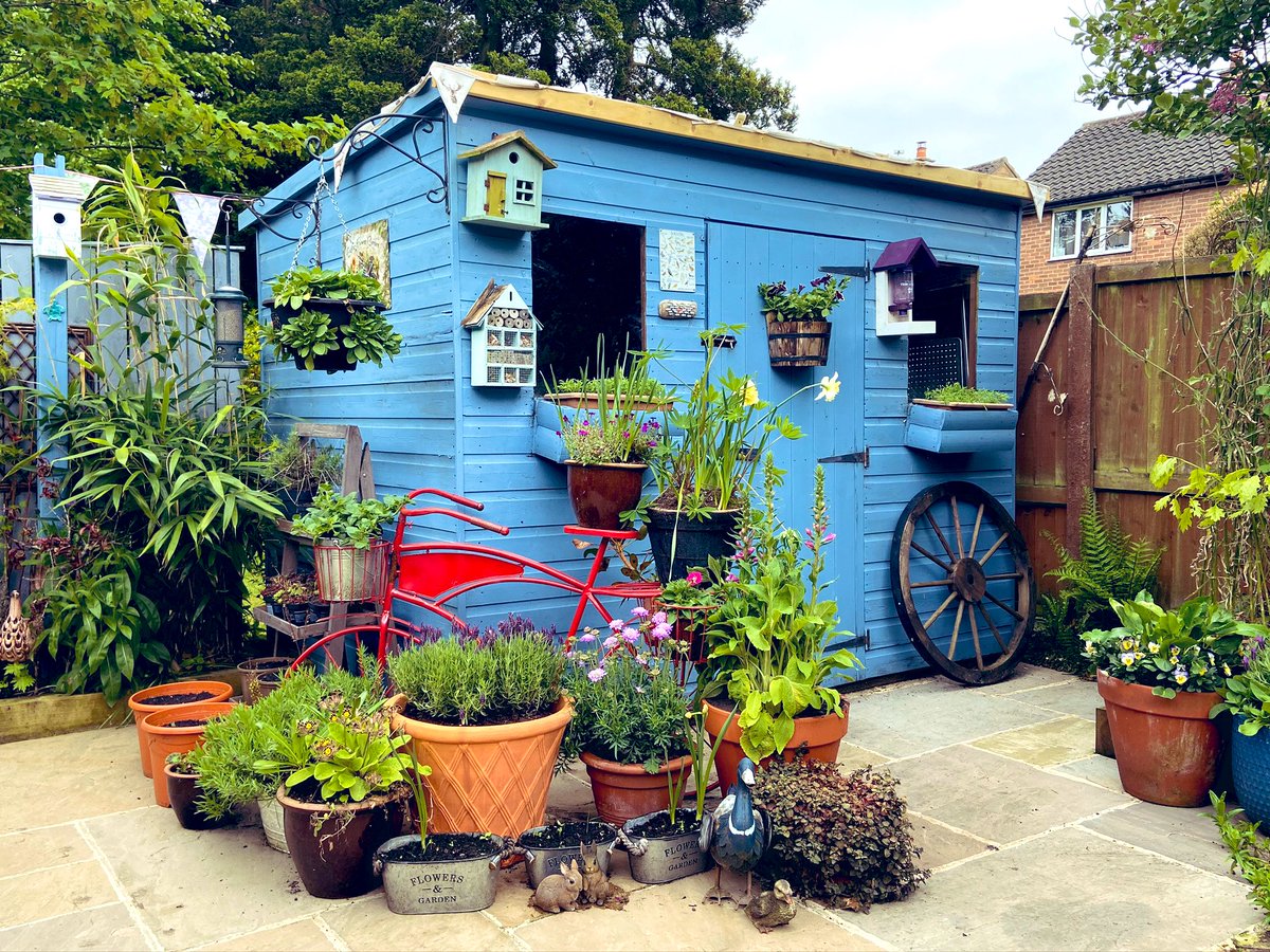 Dr Amir Khan GP tweet media