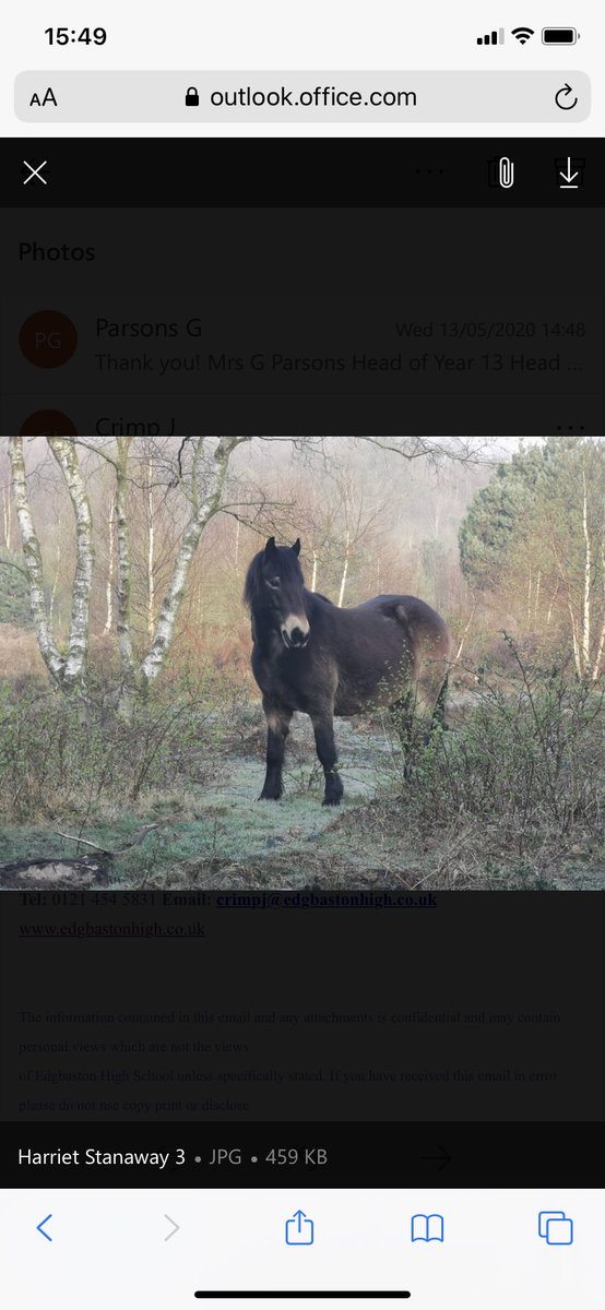 EHS_SixthForm's tweet photo. Some wonderful entries into Mrs Crimp’s ‘Wildlife through the window’ competition. How amazing are these photographs taken by some of our sixth formers during their daily exercise? https://t.co/OjB6GBS02Q