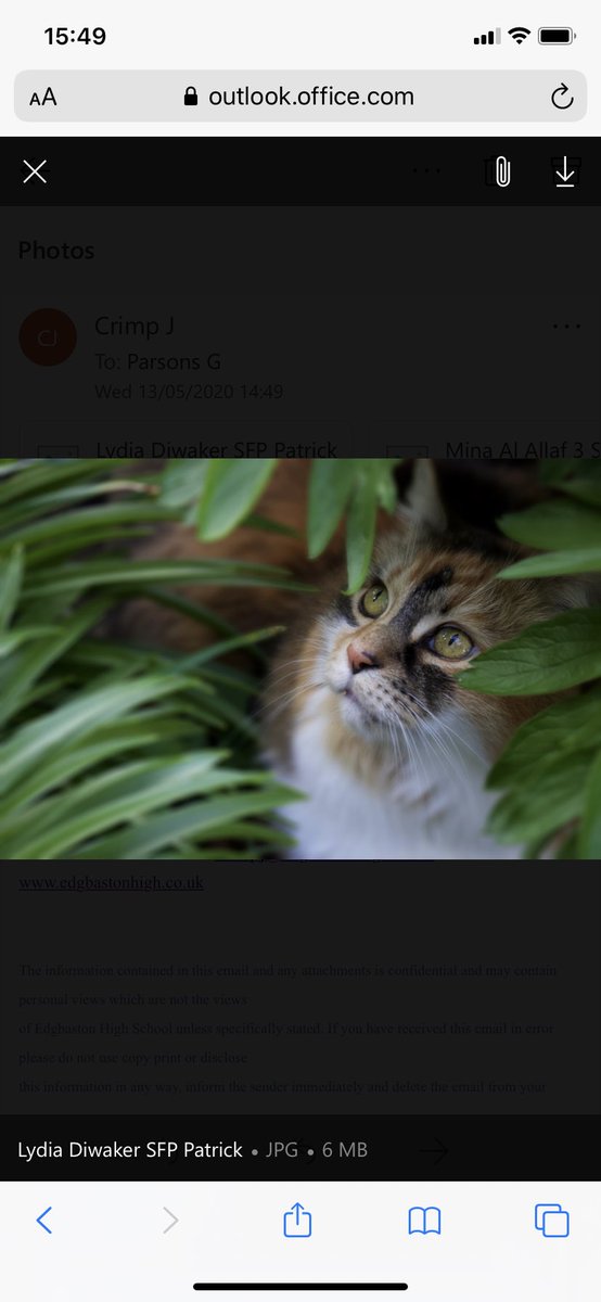 EHS_SixthForm's tweet photo. Some wonderful entries into Mrs Crimp’s ‘Wildlife through the window’ competition. How amazing are these photographs taken by some of our sixth formers during their daily exercise? https://t.co/OjB6GBS02Q
