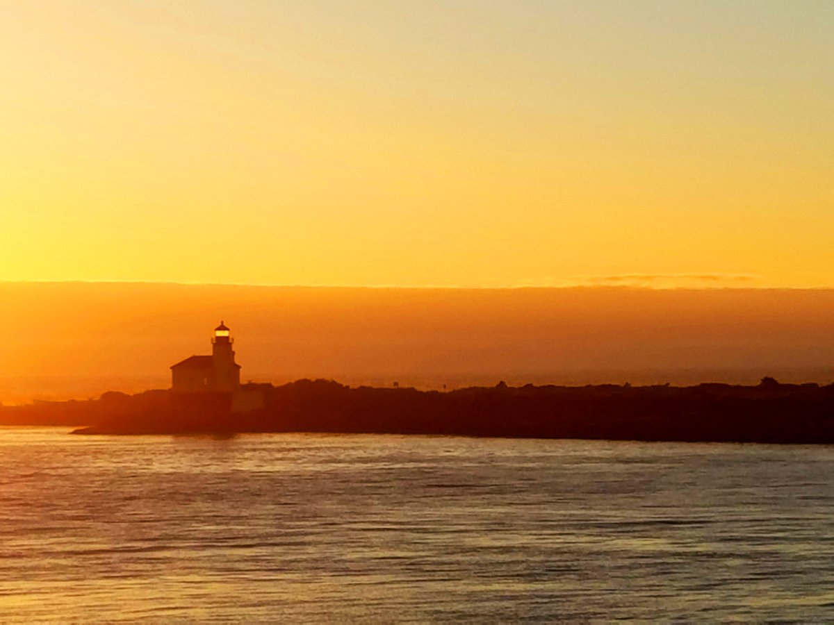 workingitoutnow tweet media