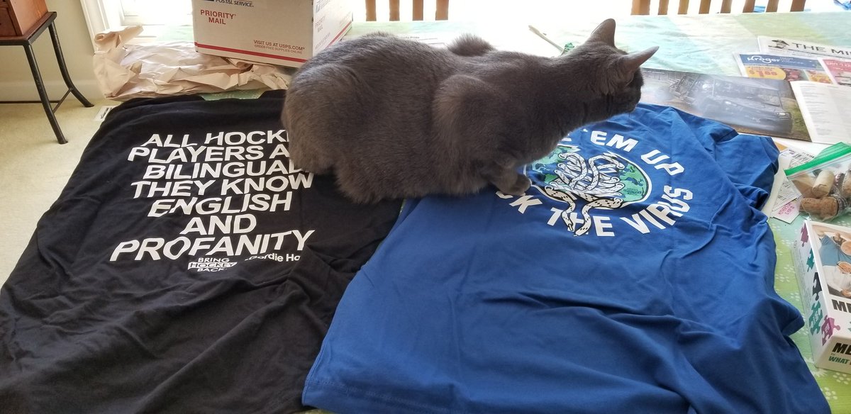 kceboch's tweet photo. @keeboch @Art_o_mat @industrialarts Cobweb approves of my new t-shirts too! Thank you! #catsofhockey https://t.co/CKPenKrc45