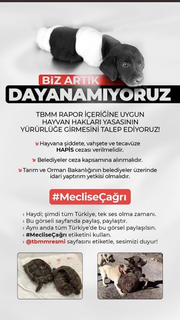 didem cevik on twitter biz artik dayanamiyoruz hayvan haklari koruma kanunu yururluge girsin tecavuz siddet ve oldurmenin cezasi para cezasi degil hapis cezasi verilsin meclisecagri https t co nqbjv9d395