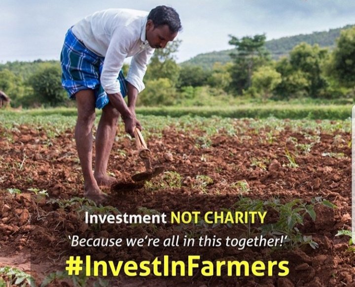BeingFarmersay1's tweet photo. https://t.co/21zL2Abbug