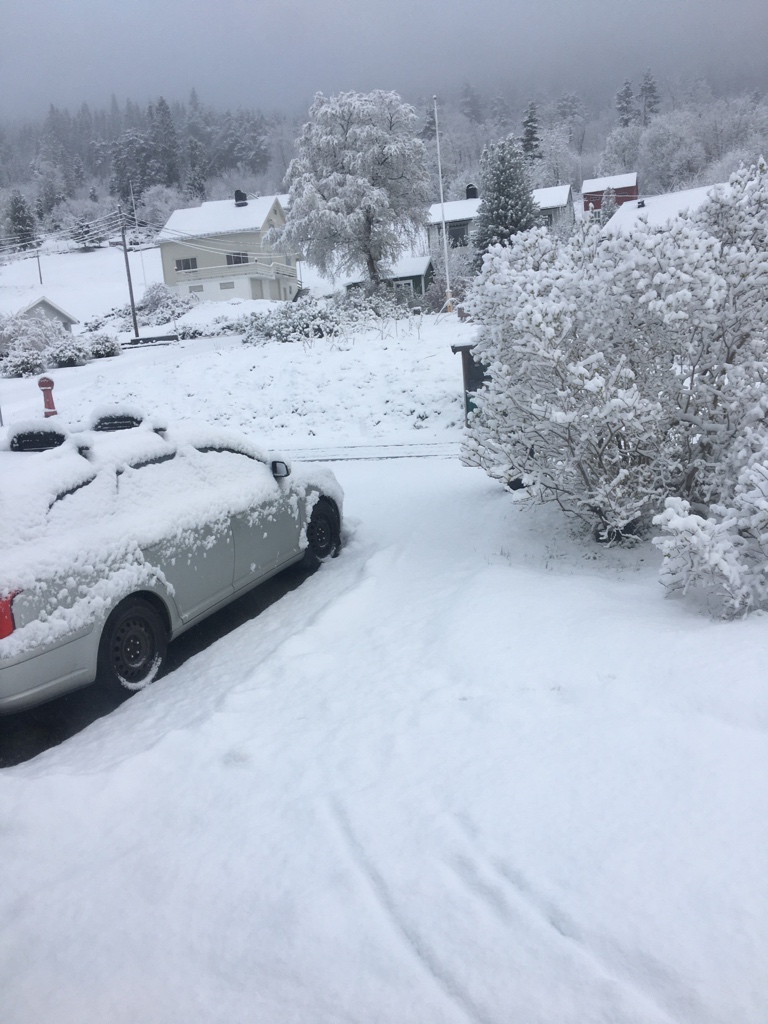 HeavyMetalJesus's tweet photo. Today, on Reasons Why I Hate Norway...
#fuckingsnow https://t.co/fpBPHTonWG