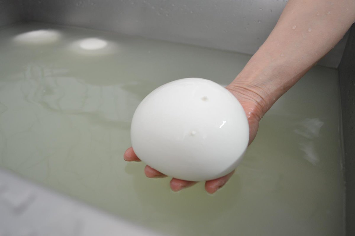 donatocerullo's tweet image. Ho realizzato il profilo social del caseificio della mia ragazza.
Spero possiate darci una mano a crescere con un RT per superare questo momento difficile per tutte le aziende italiane 🙏

Vi aspetto su Instagram!
⬇️⬇️⬇️
instagram.com/caseificiodanz…