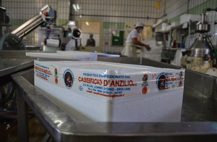 donatocerullo's tweet image. Ho realizzato il profilo social del caseificio della mia ragazza.
Spero possiate darci una mano a crescere con un RT per superare questo momento difficile per tutte le aziende italiane 🙏

Vi aspetto su Instagram!
⬇️⬇️⬇️
instagram.com/caseificiodanz…